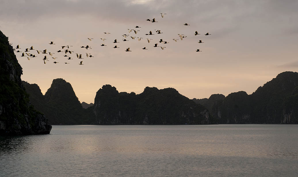 Ha Long Bay - Vietnam Travel Photography