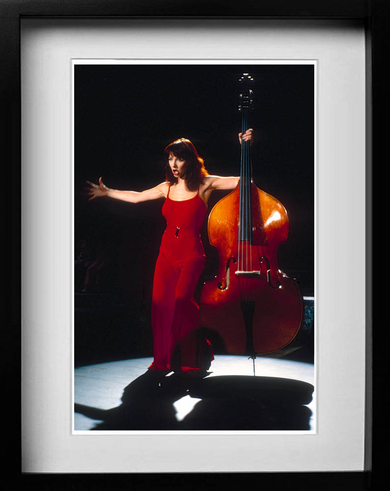 Kate Bush A gallery of some of the years most popular prints